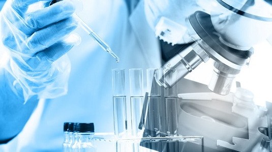 主成分定性分析/材质鉴定